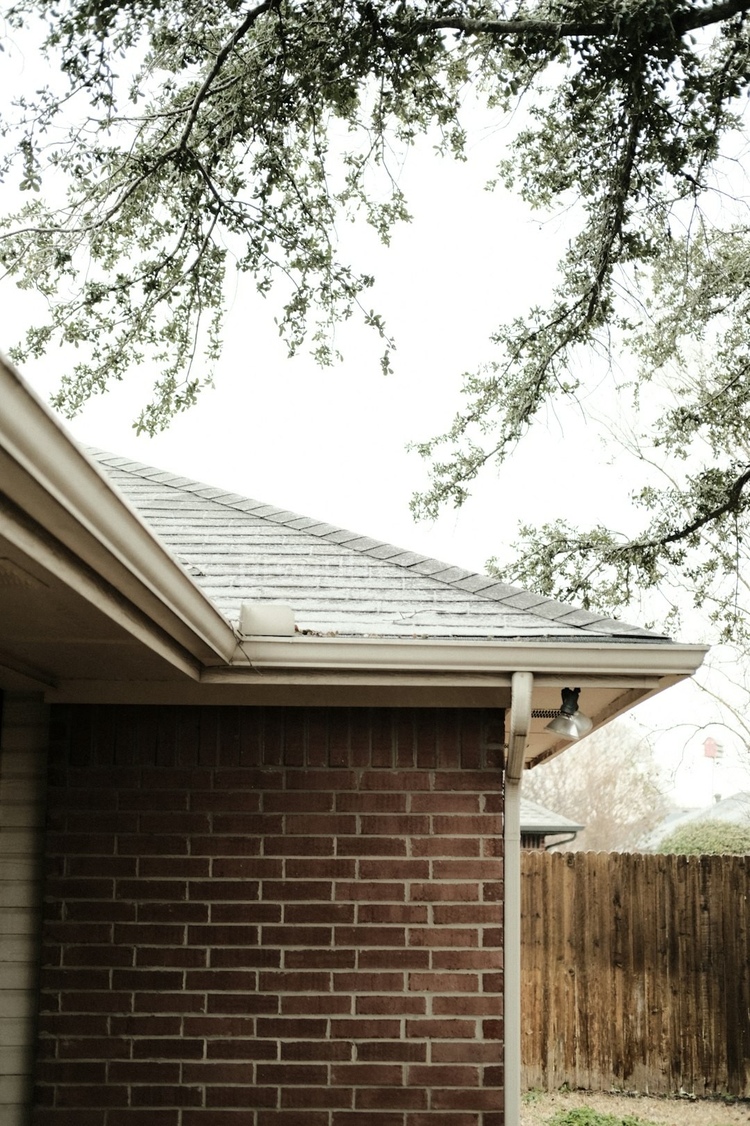 Gutter Cleaning